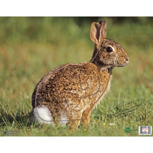 An image featuring a vibrant and colorful design of a rabbit, measuring 11.25 x 14.25 inches, surrounded by playful elements and patterns, ideal for a cheerful and whimsical aesthetic.
