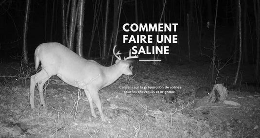 Comment faire une saline