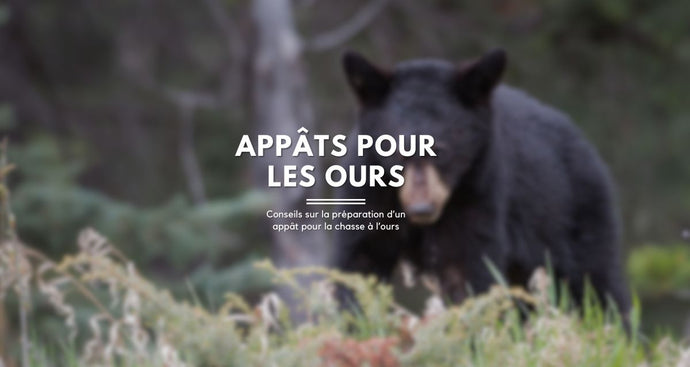 Make bear bait