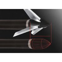 Qad Plus Exodus Swept Points de Chasse 100gr - High-performance hunting broadheads designed for precision and durability.
