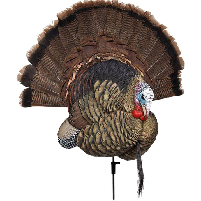 Avian X Plus Trophy Tom decoy in a natural outdoor setting, showcasing realistic details and lifelike colors, designed for turkey hunting enthusiasts.