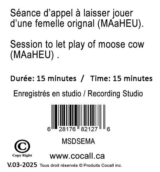 son femelle orignal maaheu