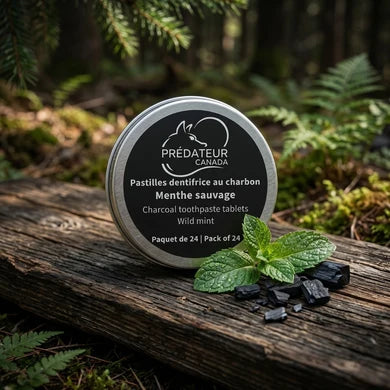 pastilles dentifrice au charbon menthe sauvage