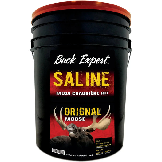 High-quality Buck Expert Plus Ensemble for Saline Mega Boiler, showcasing advanced features and robust design for optimal performance.
