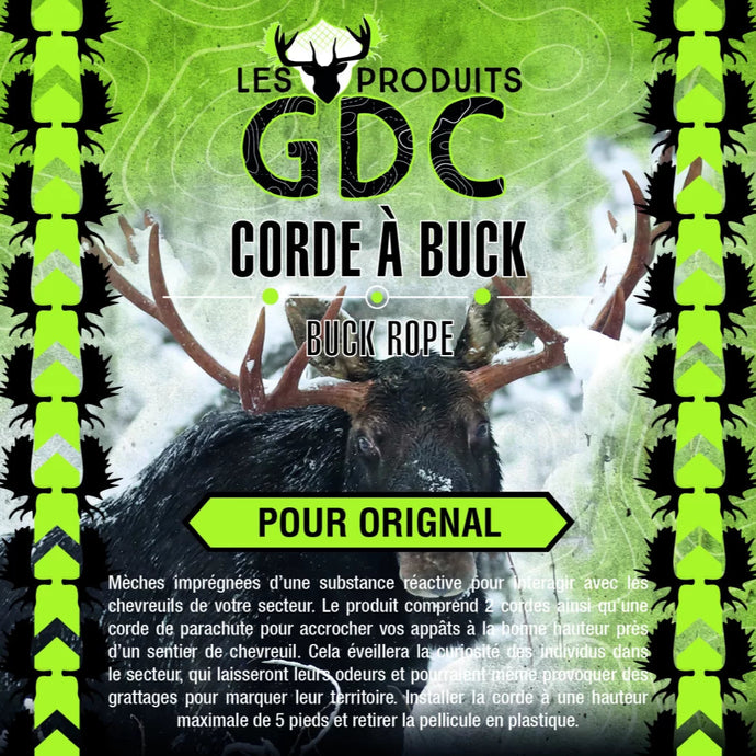 gland de chene corde a buck pour orignal