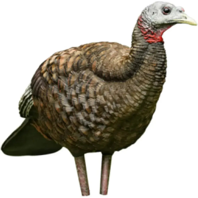 Avian X Plus Appelant LCD Breeder decoy featuring realistic details and lifelike colors, designed for effective turkey hunting.
