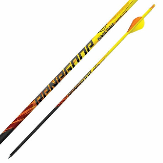 Black Eagle Flèches Renegade arrows, .005