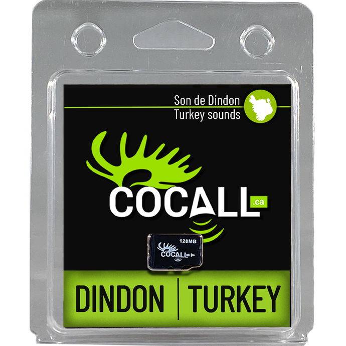 An artistic representation of a wild turkey, showcasing its vibrant plumage and intricate feather patterns, set against a natural backdrop that highlights its habitat.