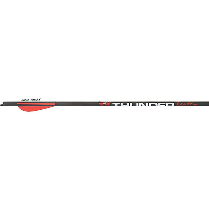 Pack of 6 PSE Thunder Boltz 22-inch crossbow arrows, featuring sleek design and precision engineering for optimal performance.