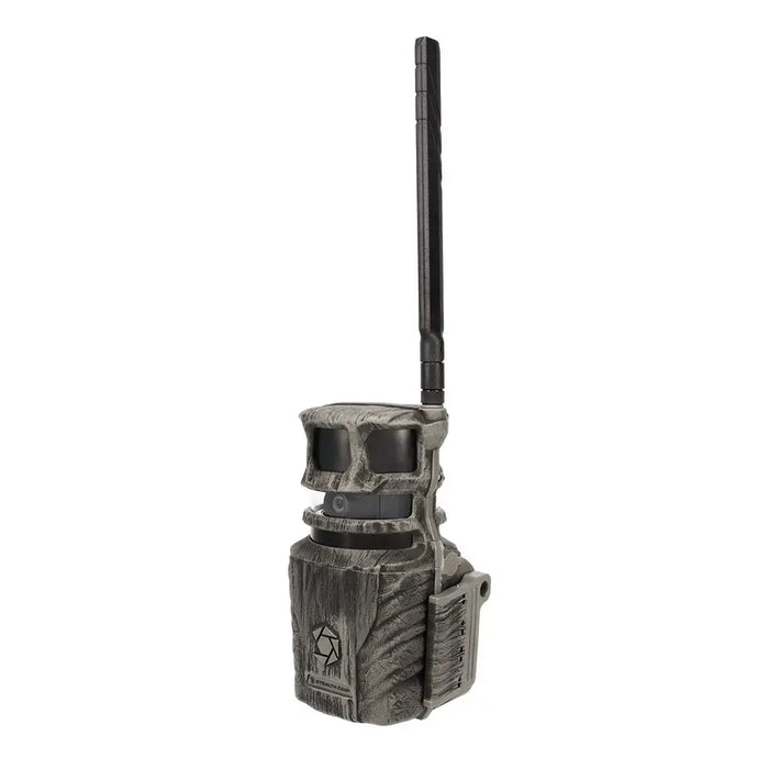 High-resolution image captured by the Stealth Cam Plus Revolver 360 cellular trail camera, featuring 36MP clarity, showcasing wildlife in natural habitat with detailed textures and vibrant colors.