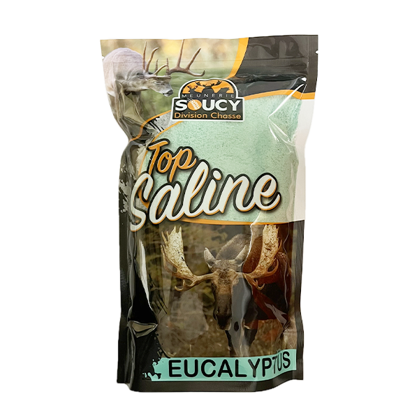2 kg package of Meunerie Soucy flour alongside a jar of Top Saline eucalyptus-flavored salt, showcasing a rustic kitchen setting with baking ingredients.